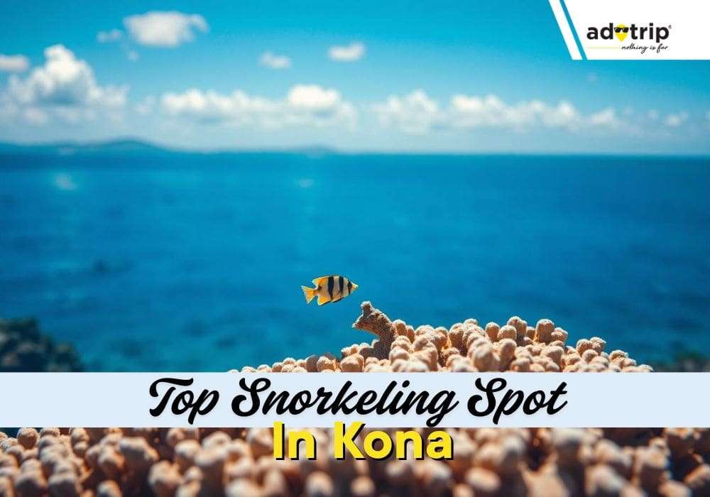 Top 8 Snorkeling Spot In Kona
